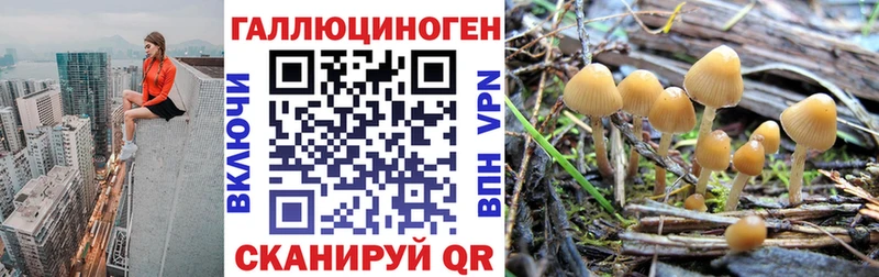 Галлюциногенные грибы Cubensis  ОМГ ОМГ вход  Ершов 